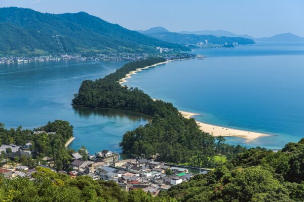 天橋立にクマ出没　海を泳ぎ住宅街に侵入、麻酔銃で捕獲
