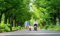 多様性の中で問い直す「伝統的家族」の本当の価値