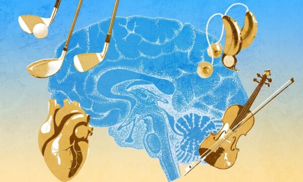中年期の脳はまだ変えられる　認知低下を防ぐ4つの習慣