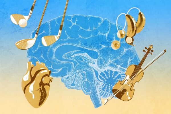 中年期の脳はまだ変えられる　認知低下を防ぐ4つの習慣