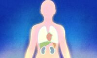 健康に直接影響を与える5つの徳