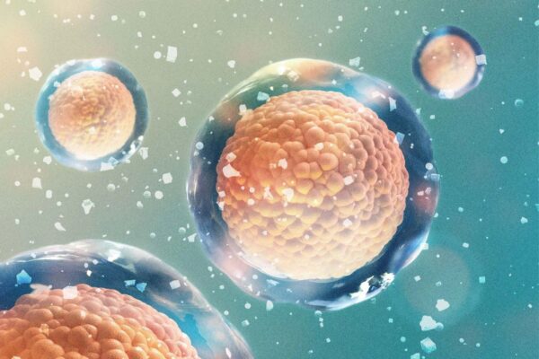ミネラル不足が疲労とブレインフォグを引き起こす理由