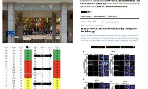 英誌「ネイチャー」　中国名門大の掲載論文2本を撤回　学術不正疑惑で