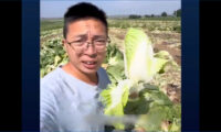 ﻿「報復は怖い」　中国のホルムアルデヒド白菜を追った告発者
