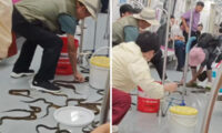 中国の地下鉄車内でヘビのような食用魚が大脱走