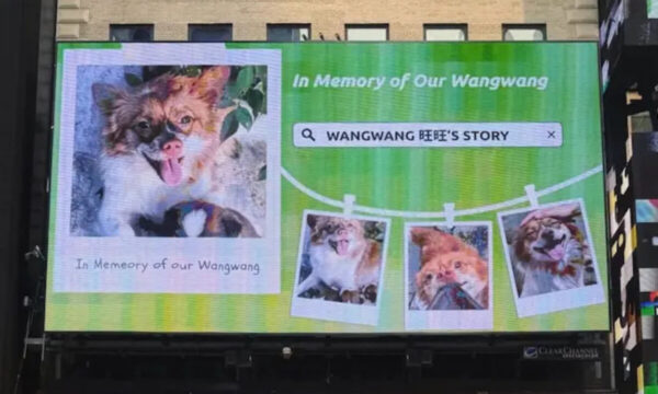 犬虐待に抗議した市民宅に警察　動物保護法求める声を抑え込み＝中国