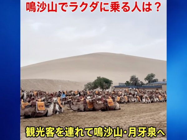 夏の観光シーズンも各地で閑散　景気低迷で旅行支出伸び悩む