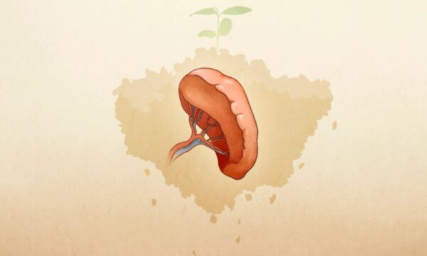考えすぎると病気になる――「脾」の養生方法