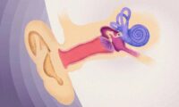 感覚を失う本当の理由　視力・聴力・平衡感覚が伝えるサイン