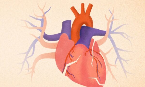 標準的な心臓検査が捉えられないもの