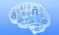 多言語を話す人の脳は若い？　最大13歳差を示した新研究