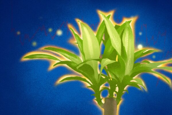 植物に意識はあるのか