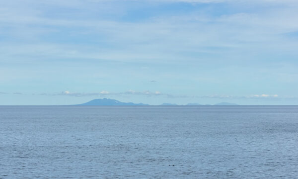なぜプーチン大統領は択捉島を訪問したのか　終戦81年　北方領土問題の現在