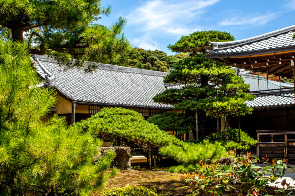 【万物有言】　中華文明はなぜ日本の精神に根づいたのか　千年の時を超える記憶