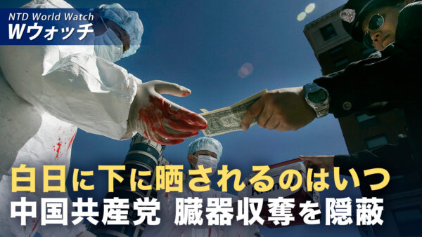 臓器収奪「止めなければ人類全体への脅威」人権弁護士が警告 など｜NTD ワールドウォッチ（2026年09月07日）