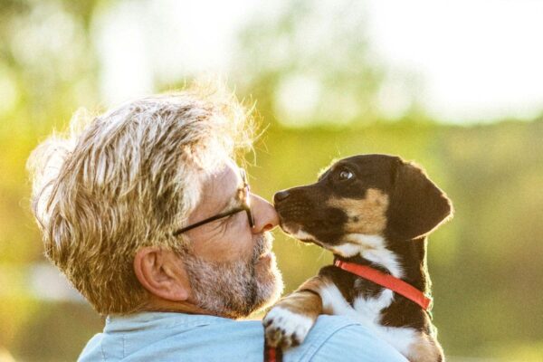 ペットは脳を若く保つ助けになるか？　研究が示すこと