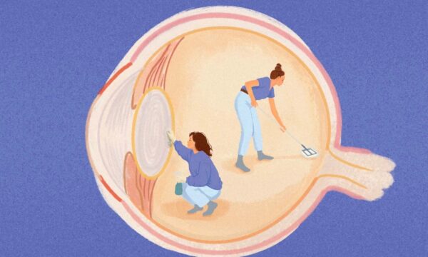 眠っているあいだ　目は老廃物を掃除している