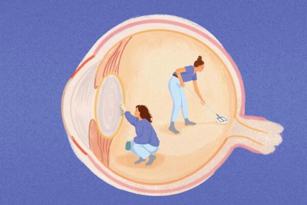 眠っているあいだ　目は老廃物を掃除している