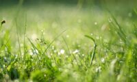 露は今夜から白し：白露の節気の変化に応える養生の道