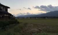 食料安全保障を揺るがす「農村集落の限界化」——2050年問題に向けた「守る農地」の線引きと地域の選択