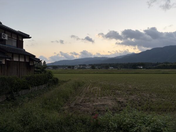 食料安全保障を揺るがす「農村集落の限界化」——2050年問題に向けた「守る農地」の線引きと地域の選択