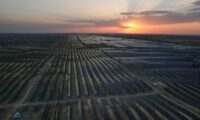 中国の太陽光発電株　約8割が下落　供給過剰で業界低迷続く