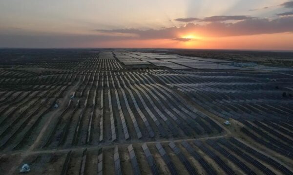 中国の太陽光発電株　約8割が下落　供給過剰で業界低迷続く